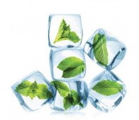 Menthol TPA