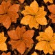DV - Amber Blend