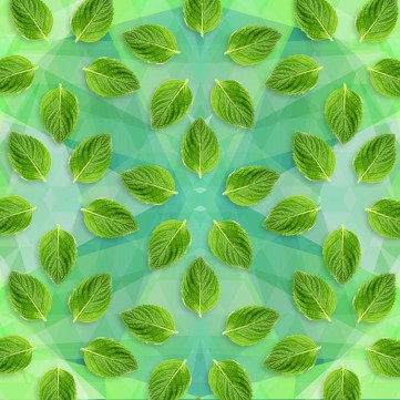 DV - Spearmint