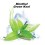 DX - Menthol Green Kool 20/60ml